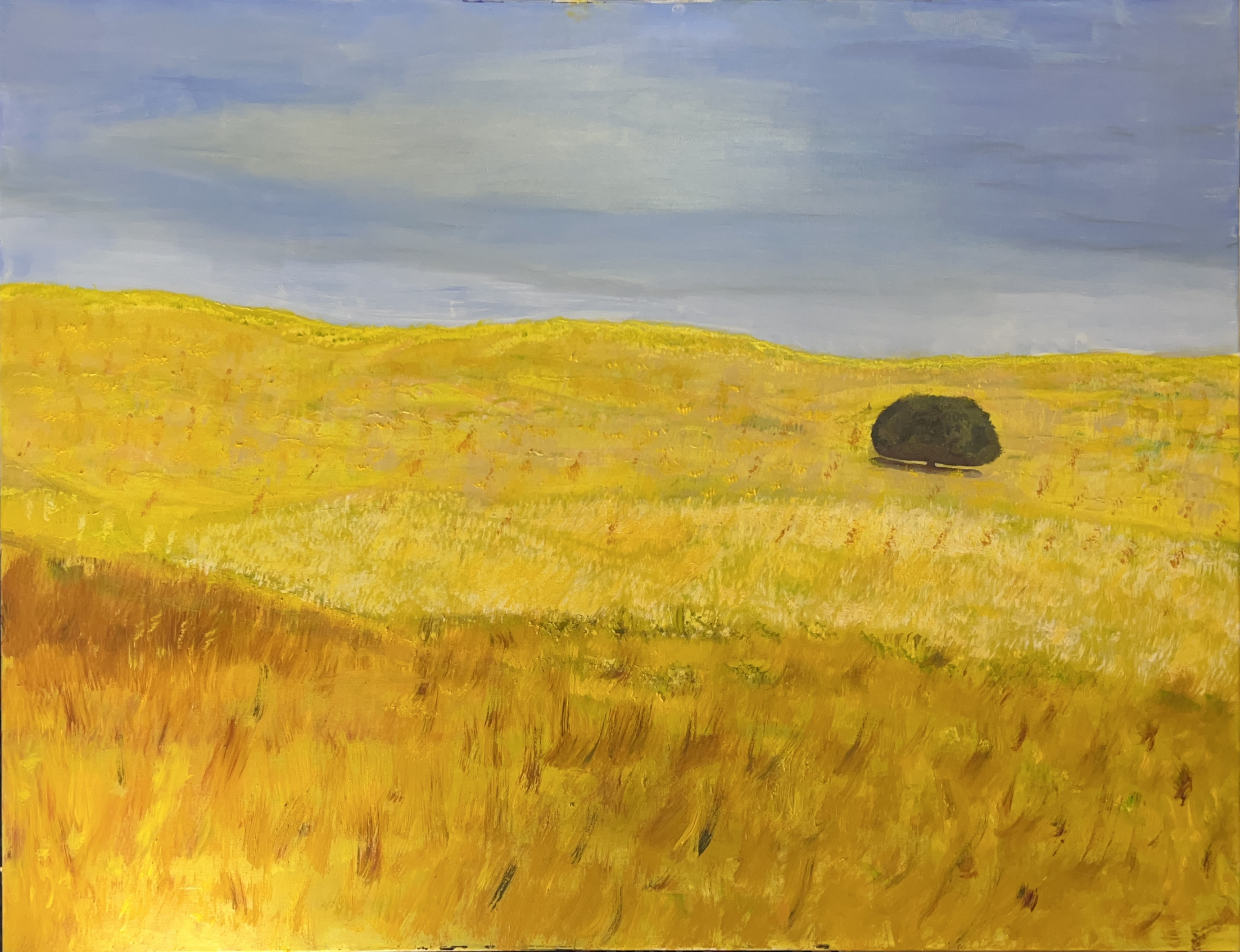 Golden Hills #1
